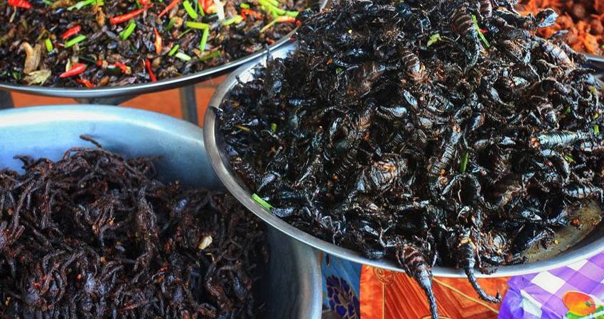 Night Food Tour